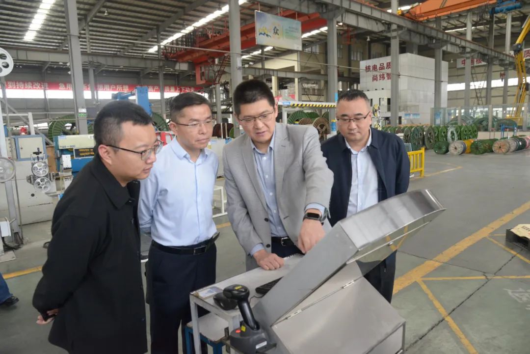 1736748462357895.jpg 3.jpg