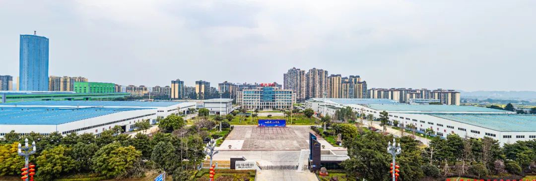 1736749024434793.jpg 2.jpg