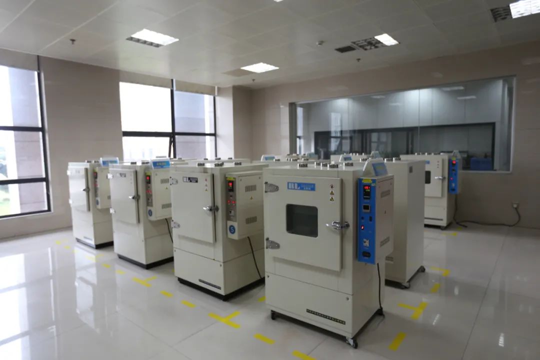 1736752994684678.jpg 3.jpg